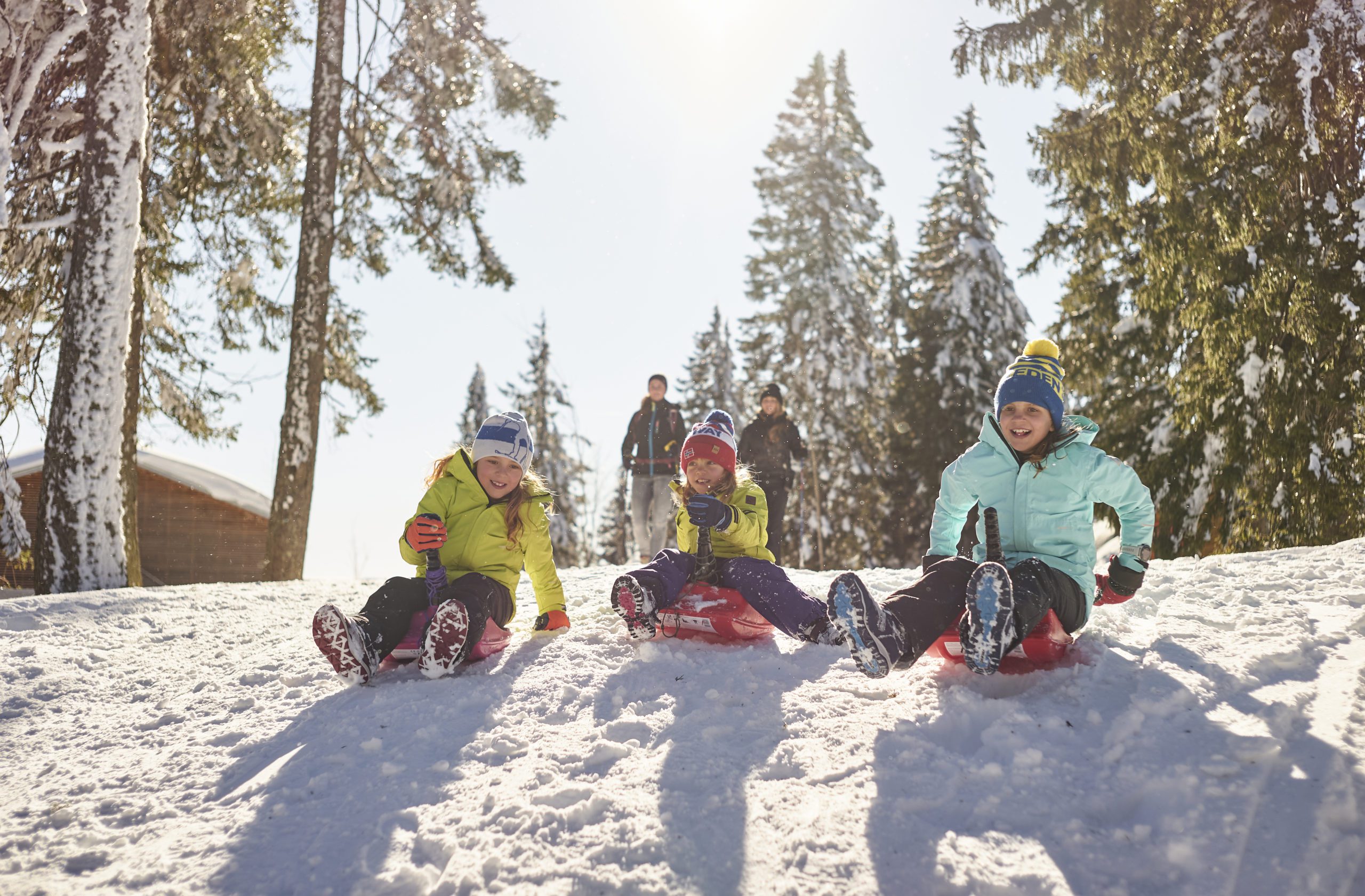 Drei Kindern rodeln den Berg herunter bei Schnee