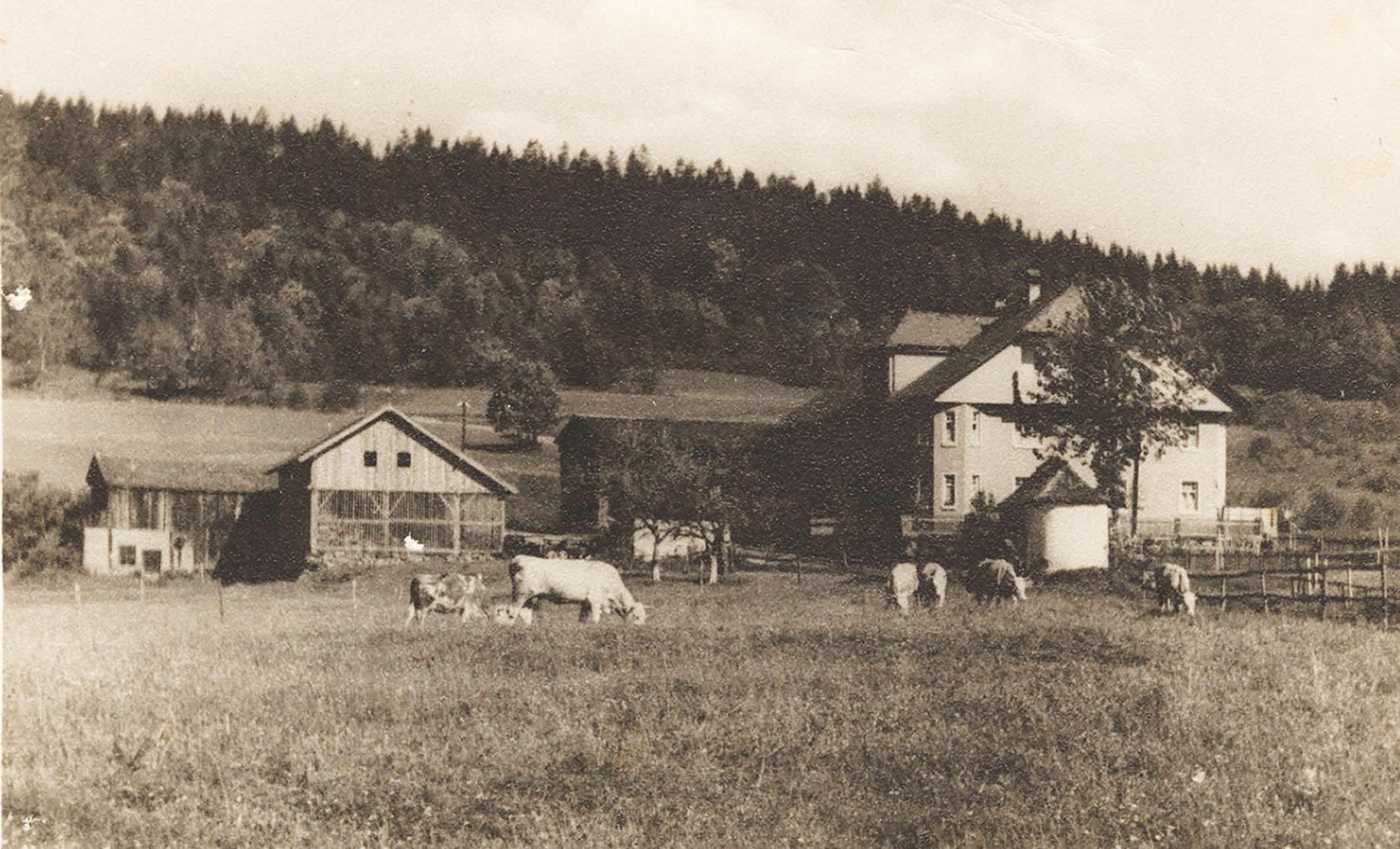 Altes Bild in Schwarzweiß vom Hotel Hammerhof