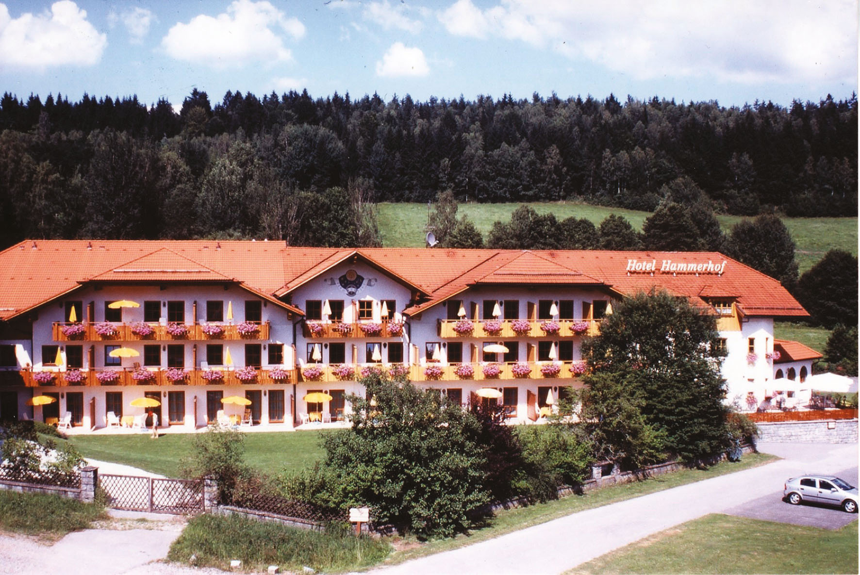 Altes Bild vom Hotel Hammerhof