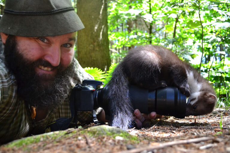 Woid Woife mit Steinmarder und Kamera